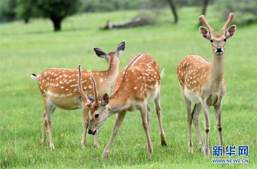(圖文互動)(3)中國西北角:有個(gè)村子叫神座