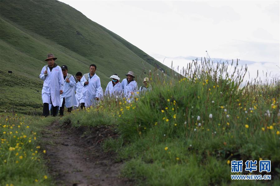 (社會)(6)夏日采藥季