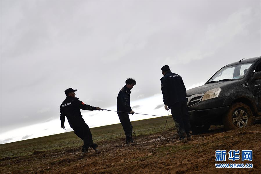 （圖文互動(dòng)）（10）記者手記：可可西里，“挪”向“藏羚羊大產(chǎn)房”的14個(gè)半小時(shí)