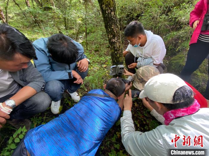 圖為訪客正在查看紅外相機(jī)中的拍攝畫(huà)面。　李江寧 攝