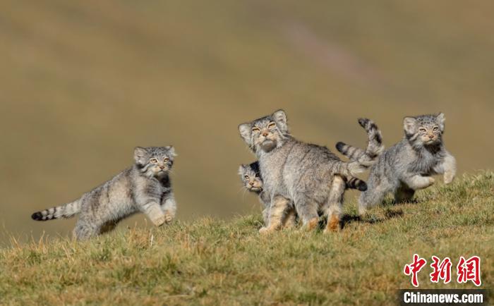 圖為李善元獲獎(jiǎng)作品《當(dāng)媽媽說跑步前進(jìn)》?！±钌圃?攝