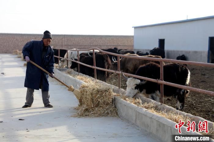 柴達(dá)木盆地蓮湖村：讓致富村民生活“?！逼饋? oldsrc=