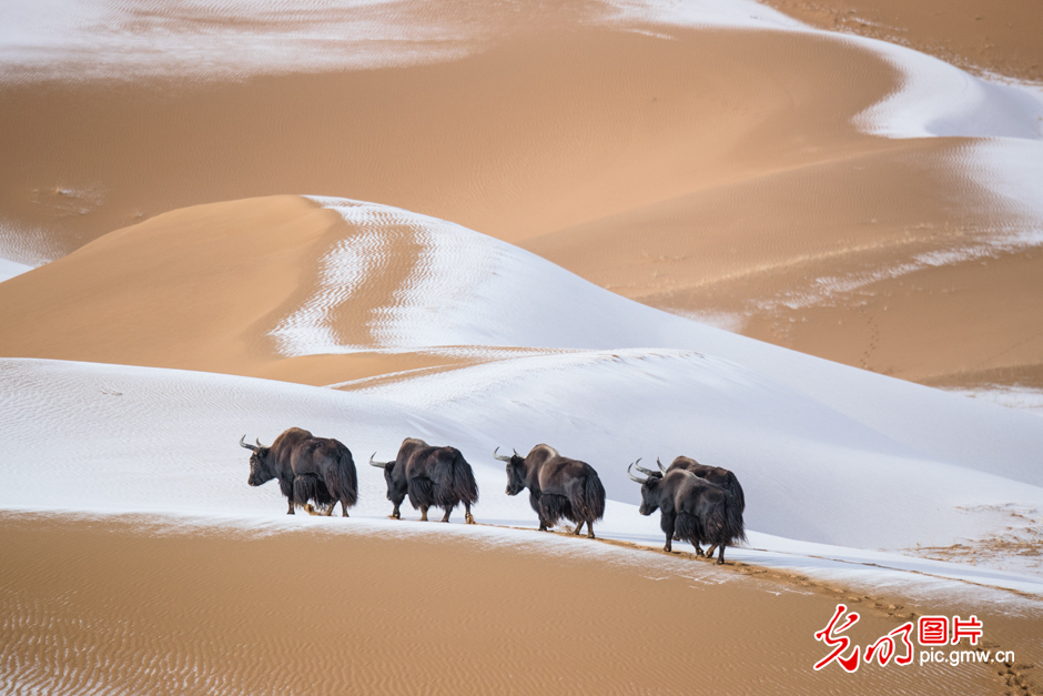 三江源國(guó)家公園正式設(shè)立，這是青海生態(tài)文明建設(shè)的新答卷