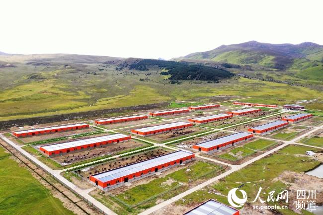 建設(shè)中的理塘縣牦牛產(chǎn)業(yè)園。葉強(qiáng)平攝