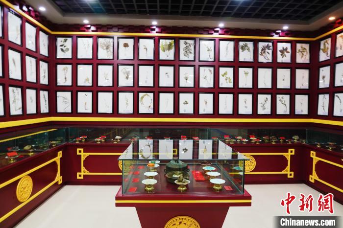 圖為藏藥臘葉標(biāo)本?！●R銘言 攝