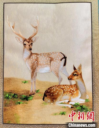 圖為藏繡作品?！∑钤鲚?攝