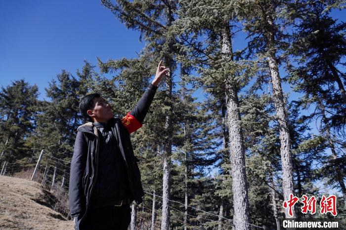 圖為桑杰加介紹林場樹木?！●R銘言 攝