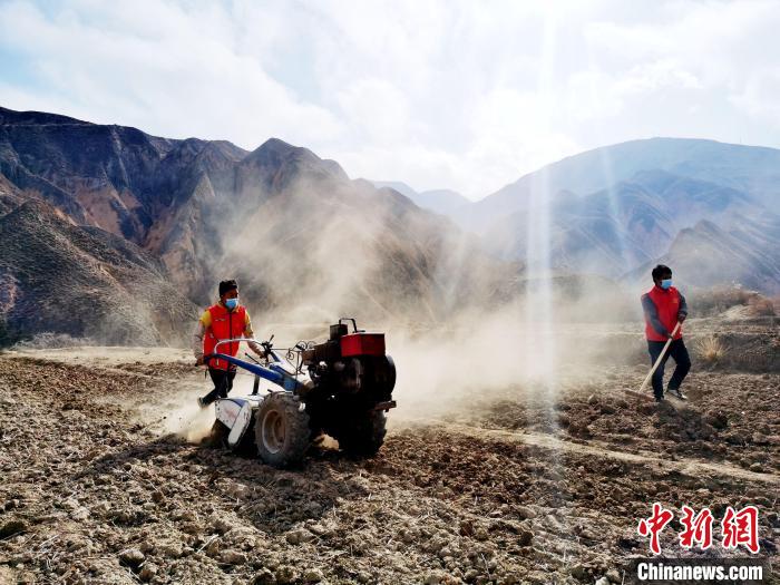 圖為拖拉機(jī)在山地犁地。　張?zhí)砀?攝