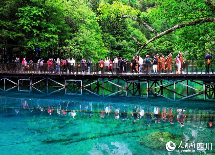 在景區(qū)內(nèi)開展森林防火宣傳和攜裝巡護(hù)。程雪力攝