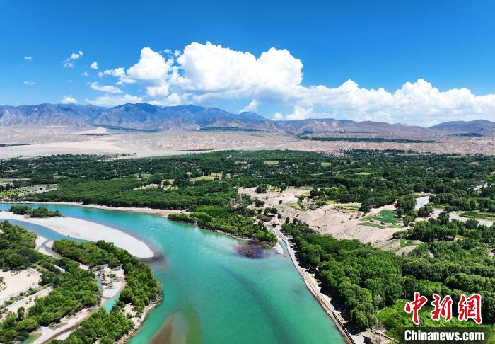 航拍貴德縣黃河岸畔綠意盎然?！●R銘言 攝