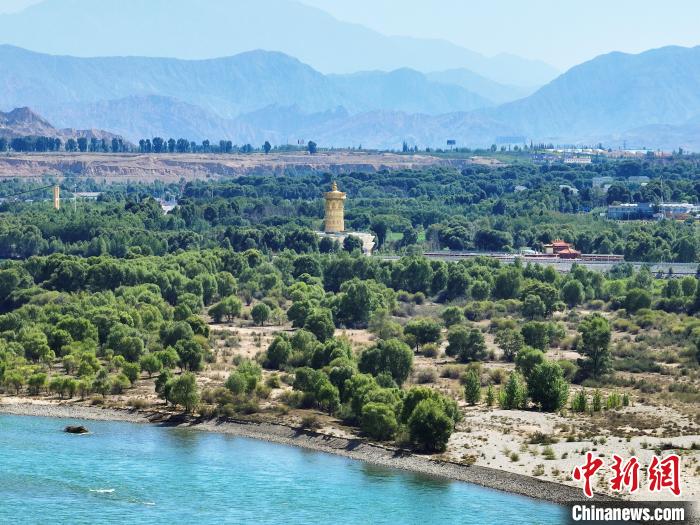 航拍貴德縣黃河岸畔綠意盎然。　馬銘言 攝