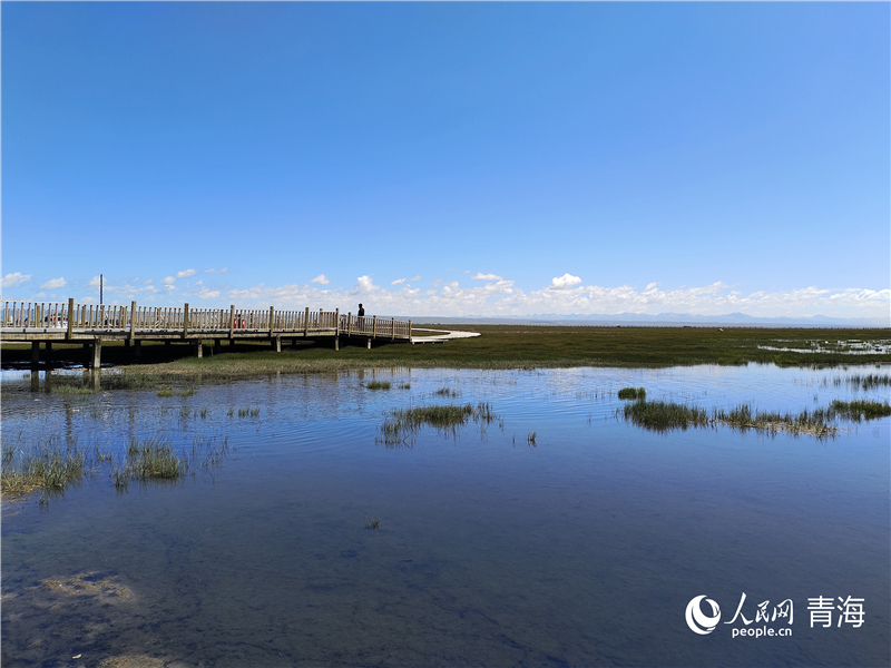   青海湖仙女灣。人民網(wǎng) 張莉萍攝