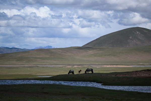 唐古拉山腳下，聽牧民講述長江源生活變遷
