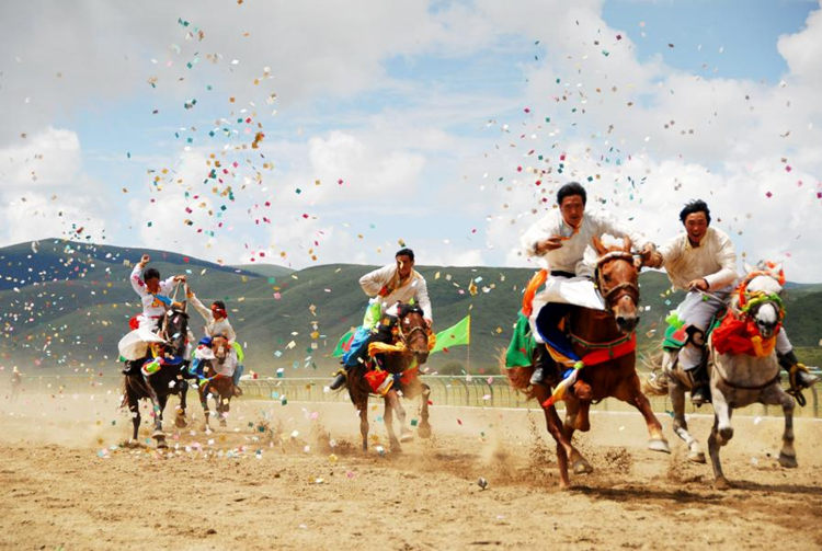 草原賽馬。阿壩州新聞傳媒中心供圖