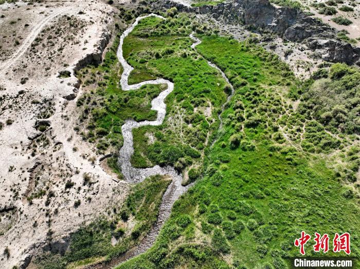 圖為航拍都蘭湖國家濕地公園綠意盎然?！∑钤鲚?攝