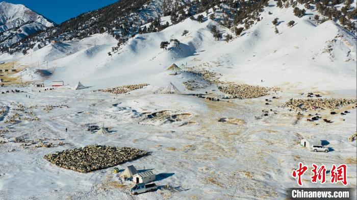 圖為無(wú)人機(jī)航拍牧場(chǎng)?！《继m縣融媒體中心供圖