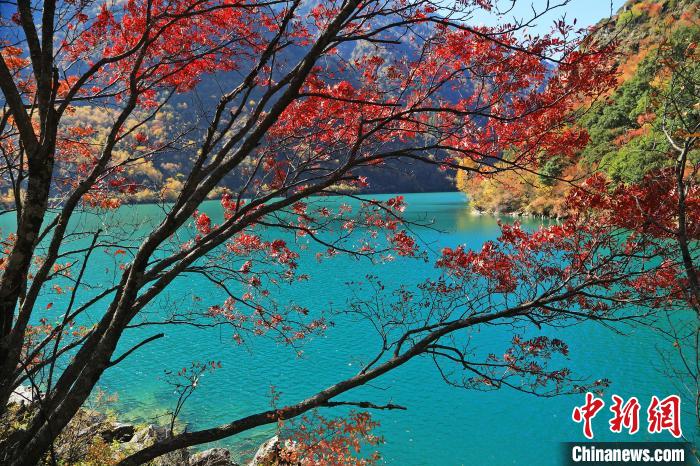 松坪溝風(fēng)光?！『吻搴?攝