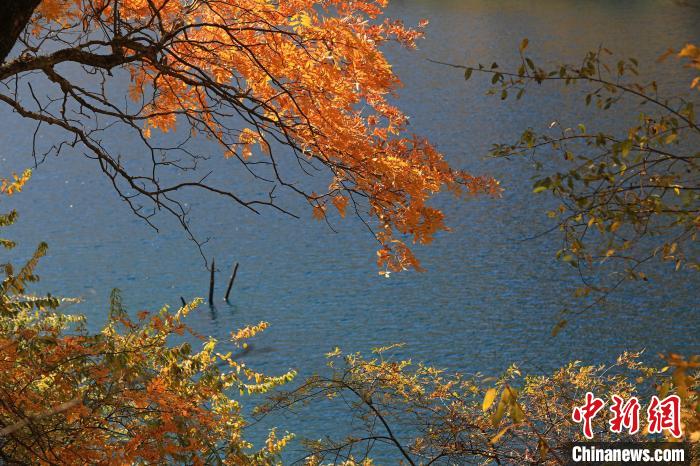 松坪溝風(fēng)光?！⑼?攝