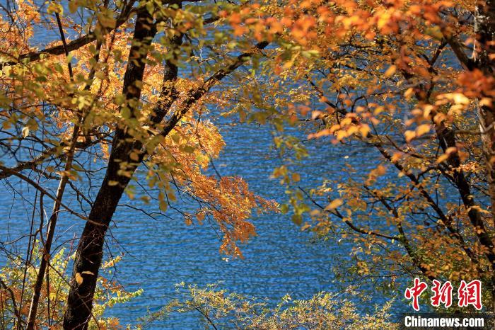 松坪溝風(fēng)光?！⑼?攝