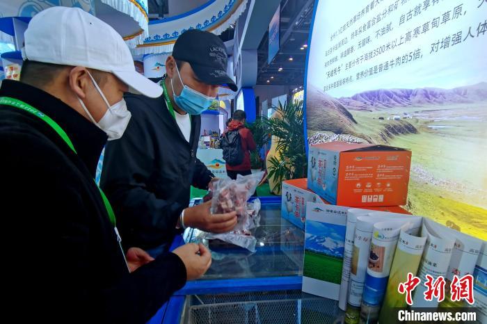 圖為青海參展商整理牛羊肉?！±铍h 攝