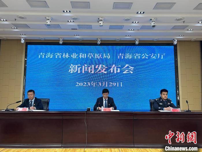 青海去年占用林地、草地準(zhǔn)予許可件同比實(shí)現(xiàn)“雙減”