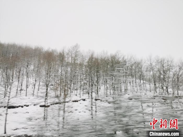 圖為青海青沙山區(qū)域被降雪覆蓋?！?zhí)砀?攝