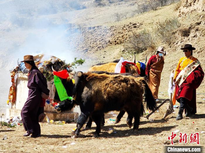 圖為春耕儀式現(xiàn)場(chǎng)?！⊥觖惿?供圖