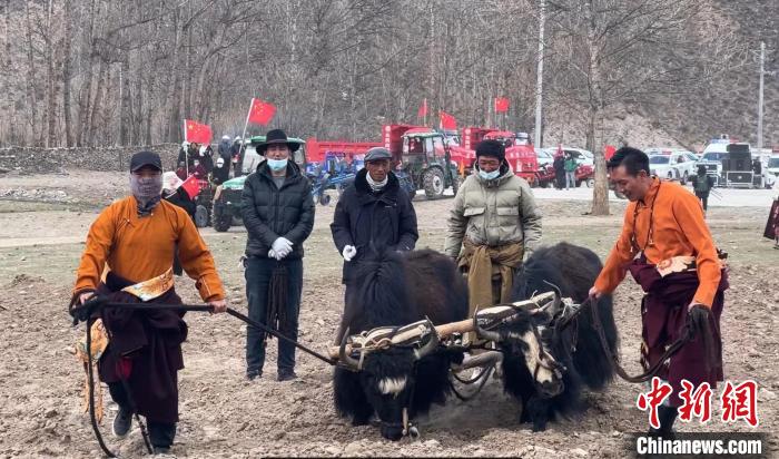 圖為活動(dòng)現(xiàn)場(chǎng)當(dāng)?shù)厝罕娬故緜鹘y(tǒng)春耕方式。　李江寧 攝