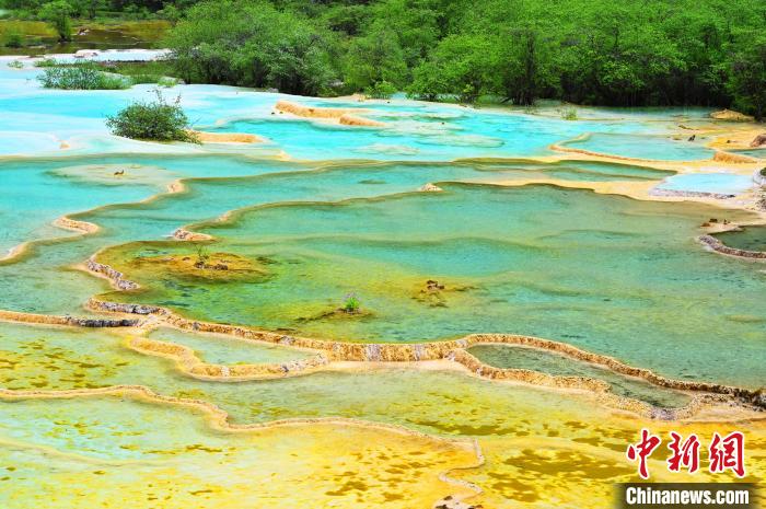 圖為黃龍景區(qū)?！“苍?攝