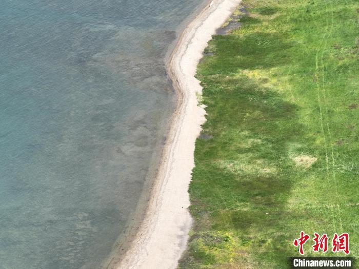 圖為航拍仲夏時(shí)節(jié)，青海湖畔綠茵如毯?！∑钤鲚?攝