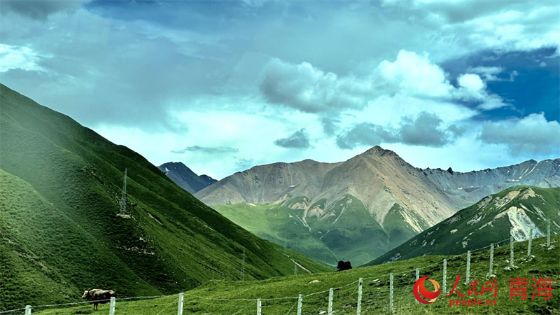果洛風光。人民網(wǎng) 劉沛然攝