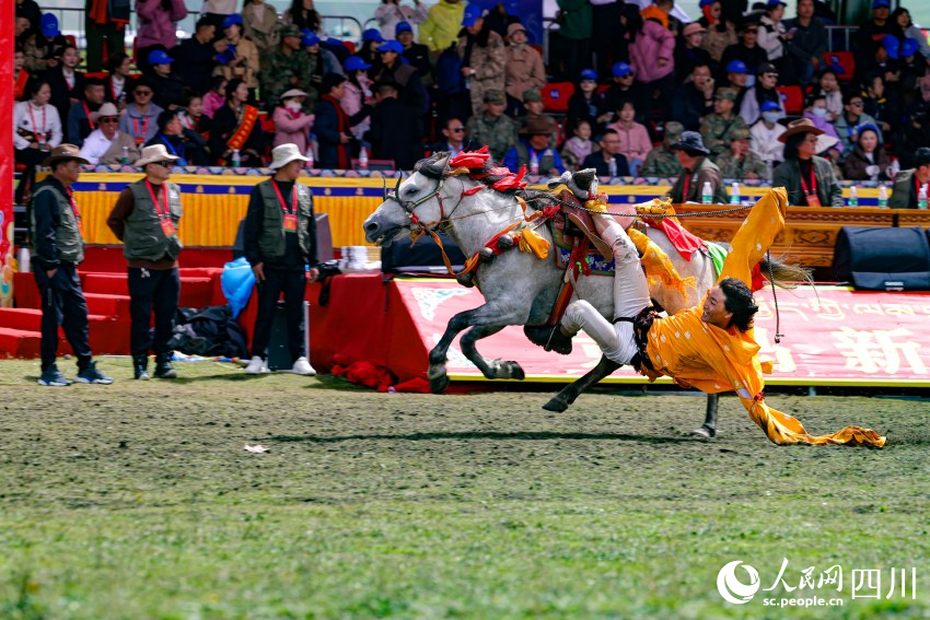 馬術(shù)表演現(xiàn)場(chǎng)。洛絨尼瑪攝