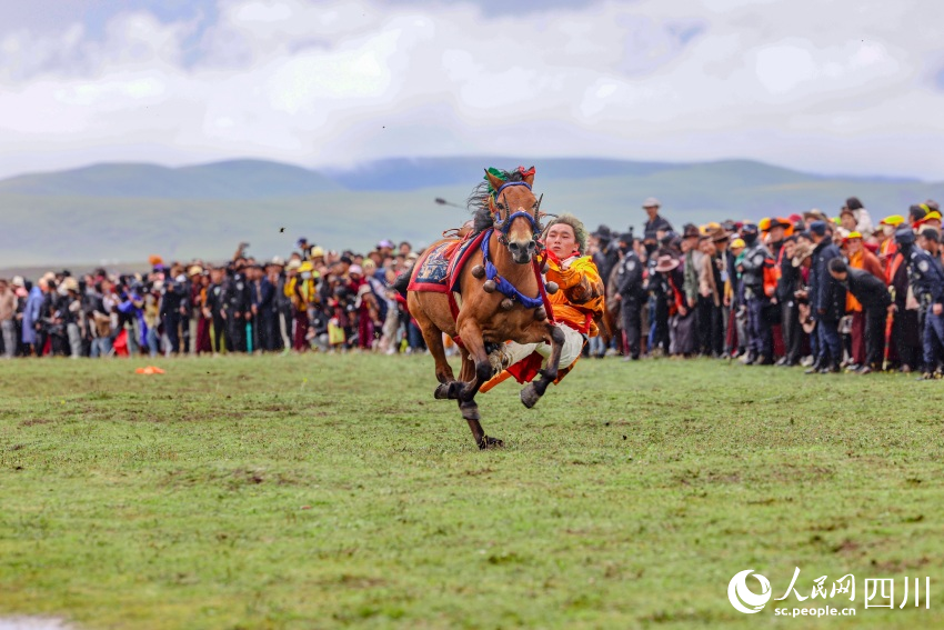 馬術(shù)表演現(xiàn)場(chǎng)。洛絨尼瑪攝