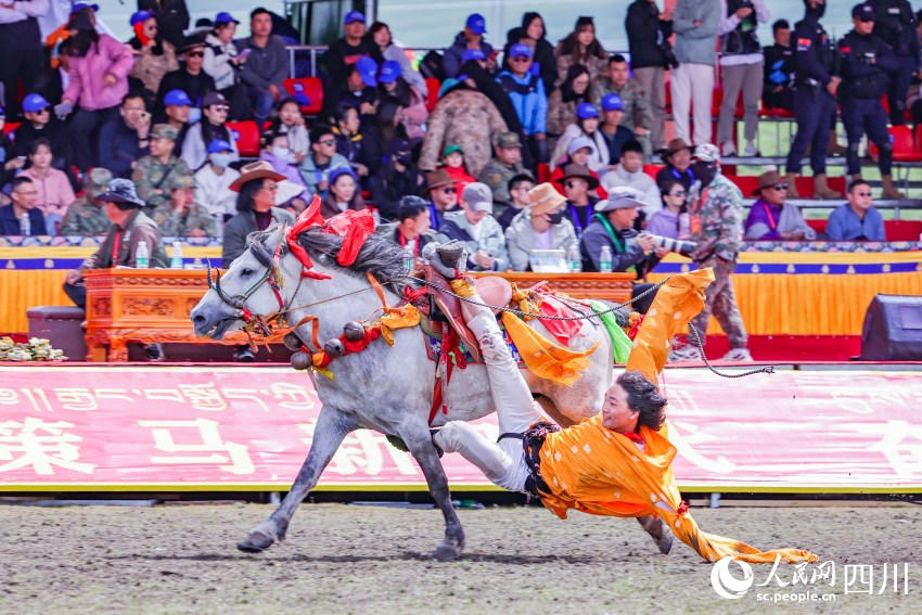 馬術(shù)表演現(xiàn)場(chǎng)。洛絨尼瑪攝