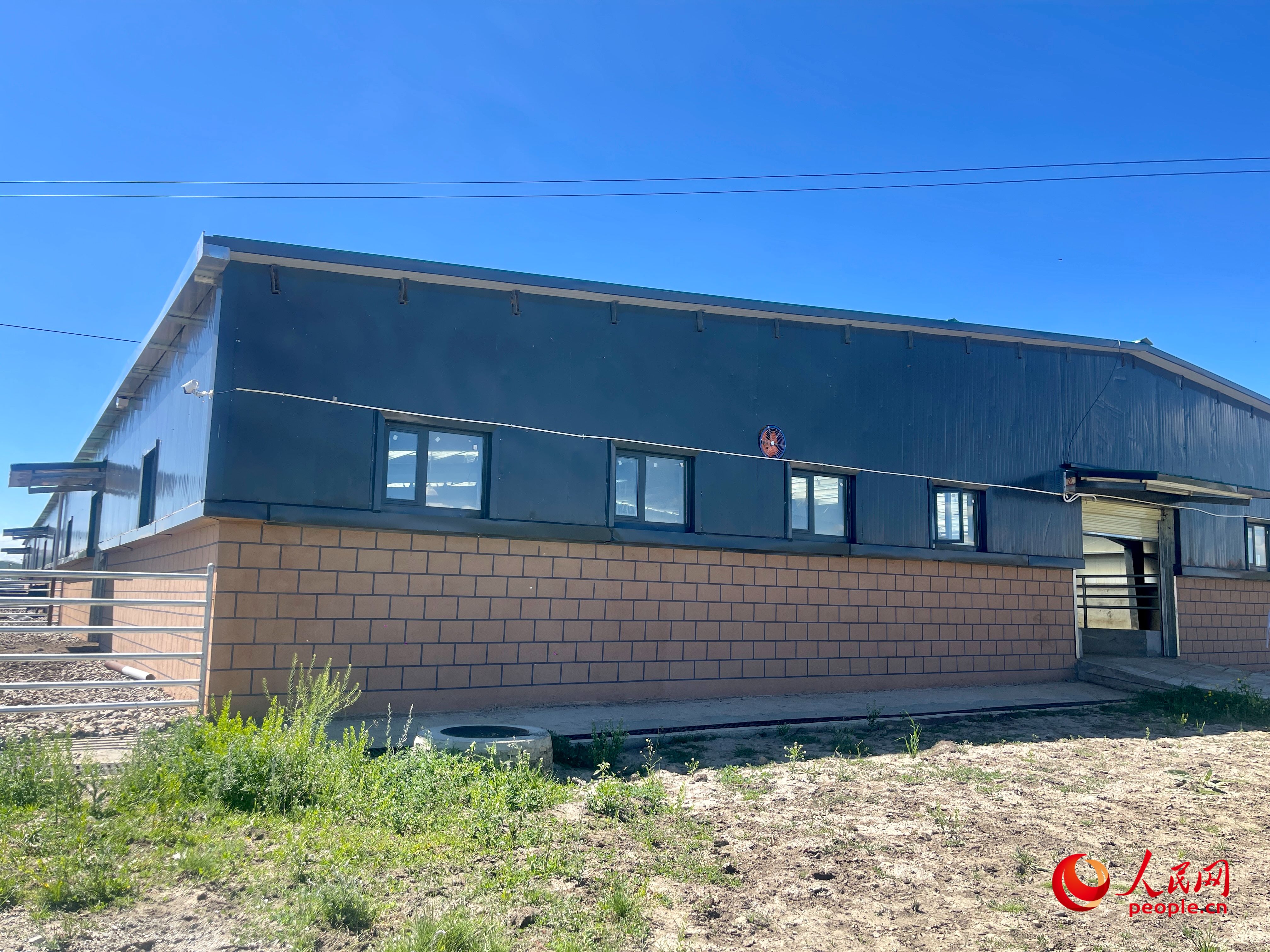 唐日合作社。人民網(wǎng) 周靜圓攝