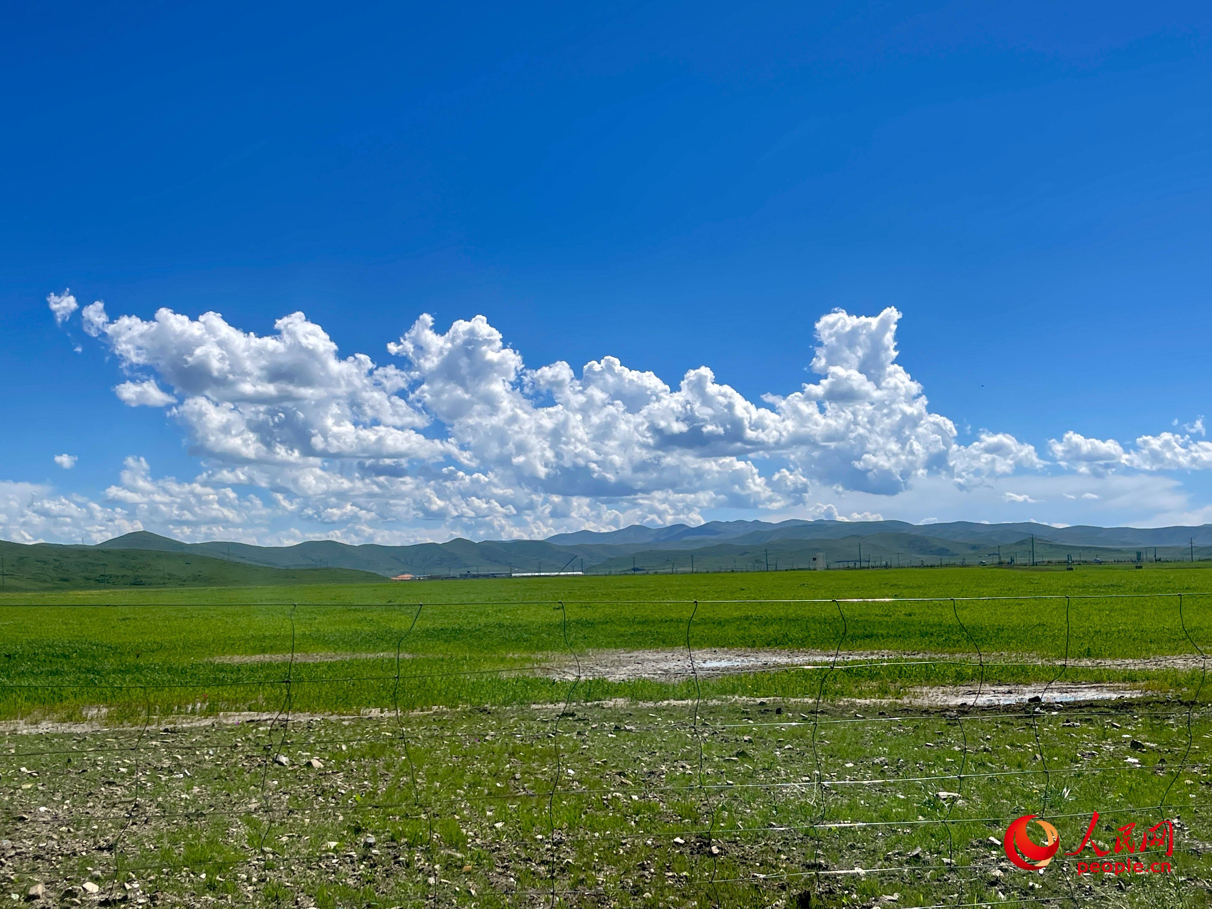 唐日合作社附近，藍天白天、綠草如茵。人民網(wǎng) 周靜圓攝