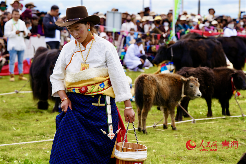 擠牦牛奶大賽。人民網(wǎng) 陳明菊攝