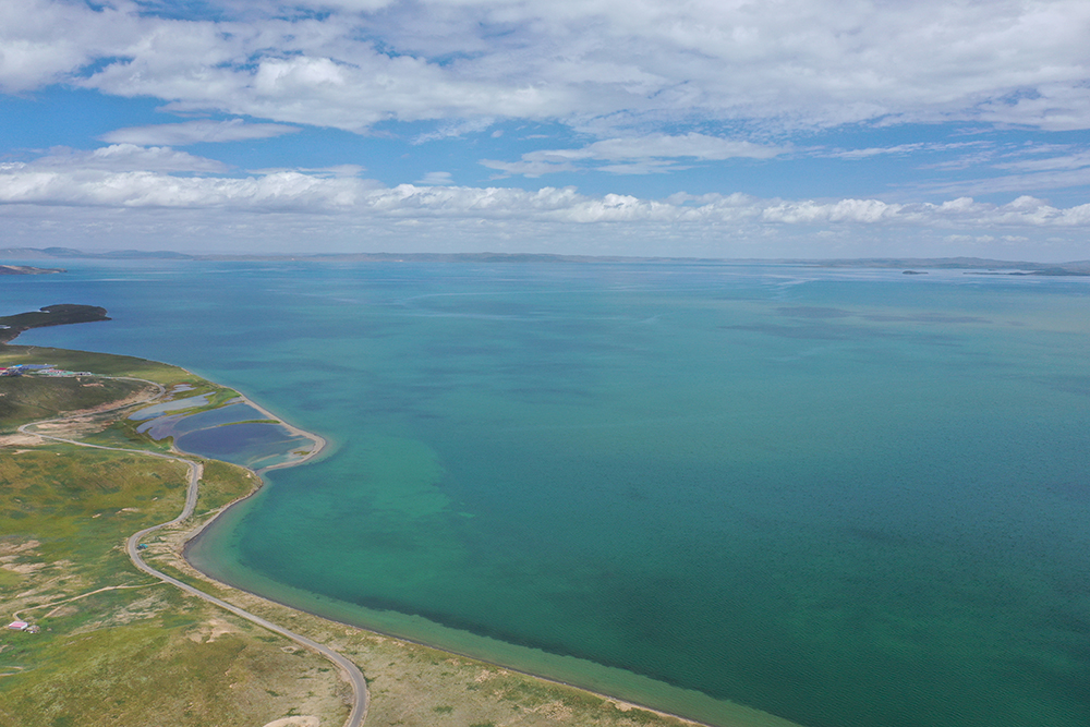 大自然的生態(tài)美學(xué)！黃河源園區(qū)哪一抹色彩最讓你心動(dòng)？