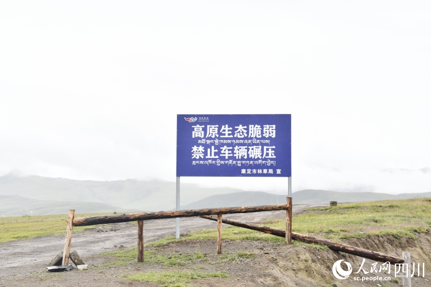 禁止車(chē)輛碾壓草原的提示牌。人民網(wǎng)記者 王洪江攝