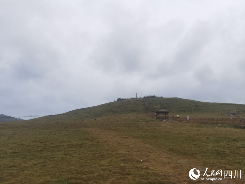 甘孜州塔公草原。人民網(wǎng)記者 王洪江攝