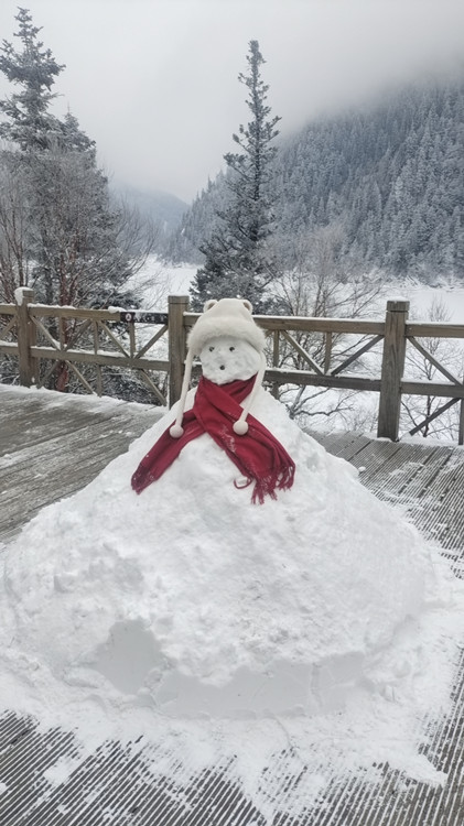 游客堆的雪人。九管局供圖