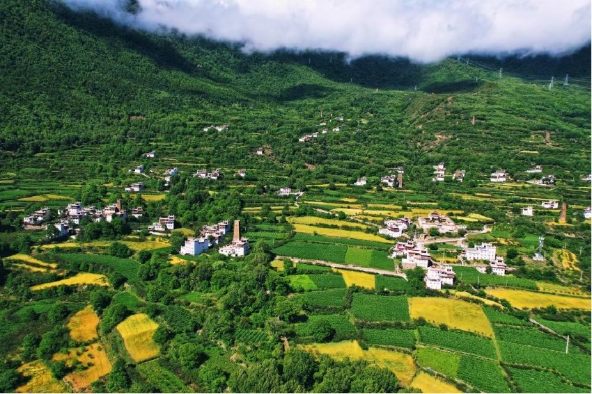 綠色丹巴。丹巴縣委宣傳部供圖