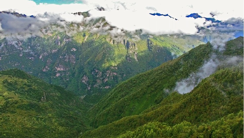 丹巴縣牦牛谷省級森林公園風光。丹巴縣委宣傳部供圖