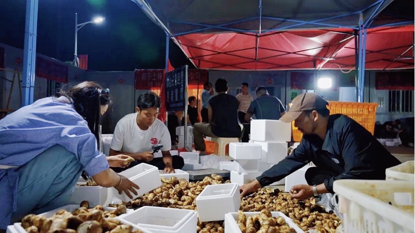 直播現(xiàn)場。雅江外宣供圖