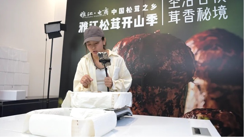 直播現(xiàn)場。雅江外宣供圖