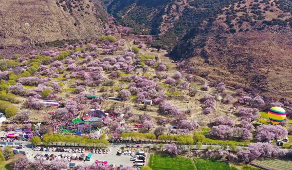 世外桃源！一組圖告訴你，西藏林芝桃花能有多美