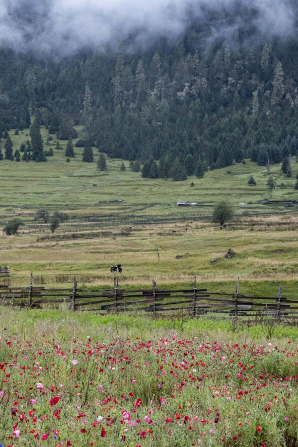 跟我，踏上最美“景觀大道”