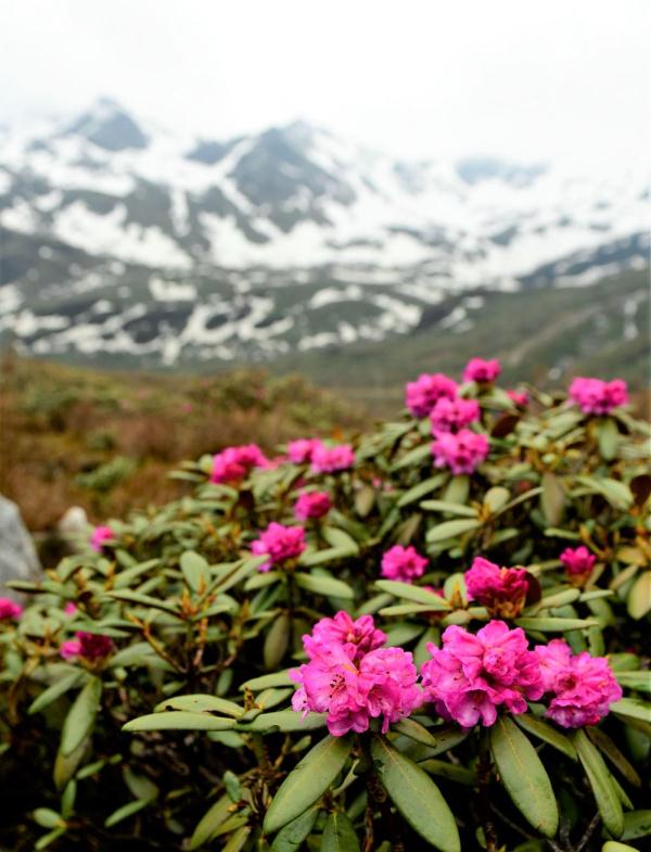 跟我，踏上最美“景觀大道”