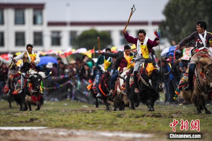 圖為拉薩郊縣的賽馬節(jié)(資料圖)。何蓬磊 攝