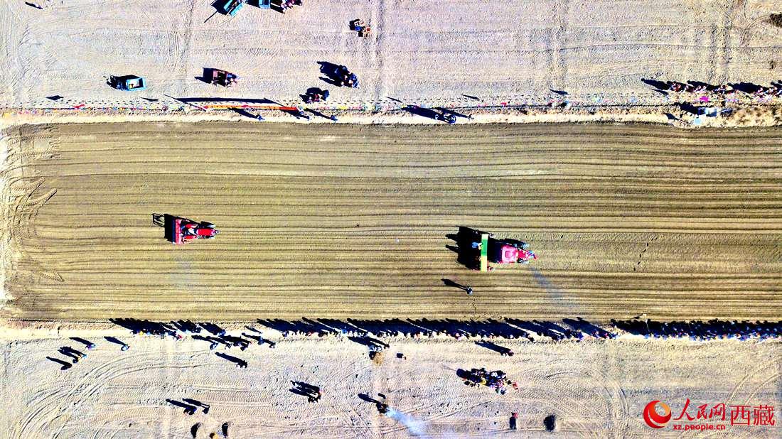 山南市扎囊縣扎其鄉(xiāng)孟卡榮村迎來春耕第一犁。人民網 次仁羅布攝